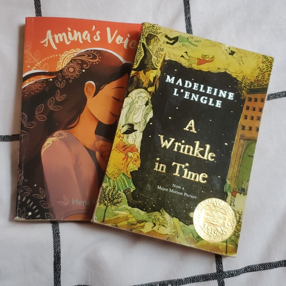 BRAND NEW pack of 2 books